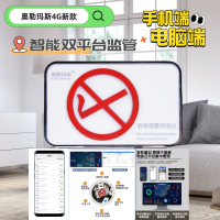 奥勒玛斯香烟烟雾报警器 控烟卫士 高灵敏禁烟探测器